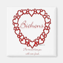 Bichon Frise True Love