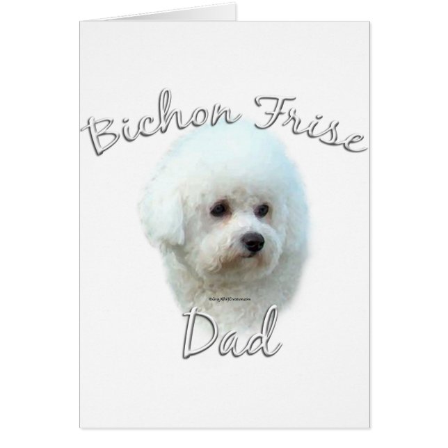 Bichon Frise Vater 2 (Vorne)