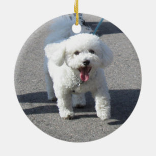 Bichon Frise Verzierung Keramikornament