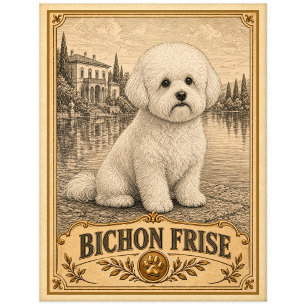 Bichon Frise, Vintage Heritage Hund Postkarte