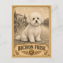 Bichon Frise, Vintage Heritage Hund