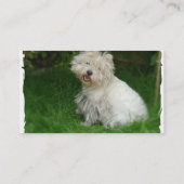 Bichon Frise Visitenkarte (Rückseite)