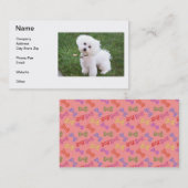 Bichon Frise Visitenkarte (Vorne/Hinten)