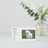 Bichon Frise Visitenkarte (Stehend Vorderseite)