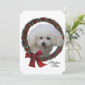 Bichon Frise Weihnachten (Stehend Vorderseite)