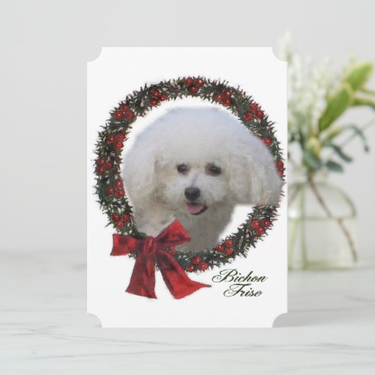 Bichon Frise Weihnachten (Stehend Vorderseite)