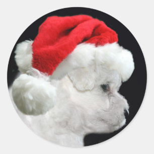 Bichon Frise Weihnachten Runder Aufkleber