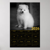 Bichon Frise Welpe 2026 Kalender Poster (Vorne)