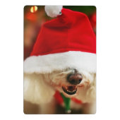 Bichon Frise Welpe, der Sankt-Kostüm trägt Mini Klemmbrett (Rückseite)