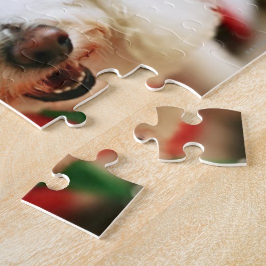 Bichon Frise Welpe, der Sankt-Kostüm trägt Puzzle (Seite)