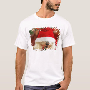 Bichon Frise Welpe, der Sankt-Kostüm trägt T-Shirt