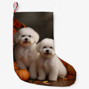Bichon Frise Welpe Herbstvergnügen Kürbis Kleiner Weihnachtsstrumpf