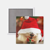 Bichon Frise-Welpe mit Santa-Kostüm Magnet (Vorderseite/Rückseite)