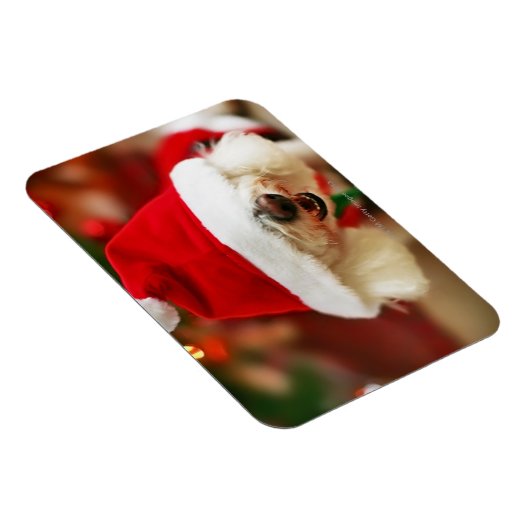 Bichon Frise-Welpe mit Santa-Kostüm Magnet (Rechte Seite)