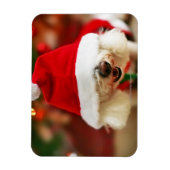 Bichon Frise-Welpe mit Santa-Kostüm Magnet (Vertikal)