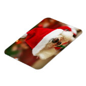 Bichon Frise-Welpe mit Santa-Kostüm Magnet (Linke Seite)