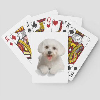 Bichon Frise-Welpe Spielkarten