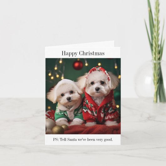 Bichon Frise Welppies Frohe Weihnachtskarte Karte (Vorderseite)