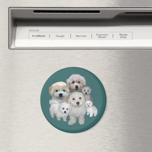 Bichon Frise Welppies Magnet (In Situ (Geschirrspüler))