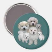 Bichon Frise Welppies Magnet (Vorderseite/Rückseite)
