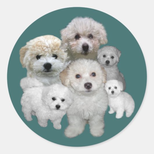 Bichon Frise Welppies Sticker (Vorderseite)
