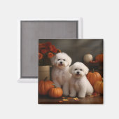 Bichon Frise Welppy Autumn Delight Pumpkin Magnet (Vorderseite/Rückseite)