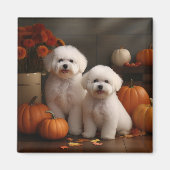 Bichon Frise Welppy Autumn Delight Pumpkin Magnet (Vorne)