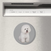 Bichon Frise Wertvoll Magnet (In Situ (Geschirrspüler))