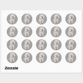 Bichon Frise Wertvoll Sticker (Blatt)