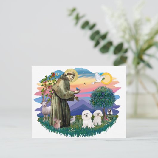 Bichon Frise (zwei) Postkarte (Stehend Vorderseite)