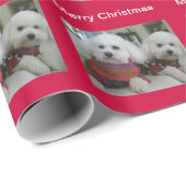 Bichon frohen Weihnachten! Geschenkpapier (Rolleneckpunkt)