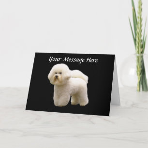 Bichon Greeting Card Feiertagskarte