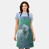 Bichon in Blauem Mohn Schürze (Getragen)