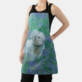 Bichon in Blauem Mohn Schürze (InSitu)