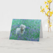 Bichon in Bluebonnets Grußkarte Karte (Gelbe Blume)
