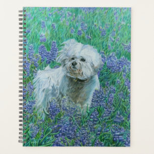 Bichon in Bluebonnets Grußkarte Planer