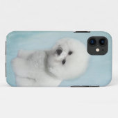 Bichon iPhone 5 Fall Case-Mate iPhone Hülle (Rückseite (Horizontal))
