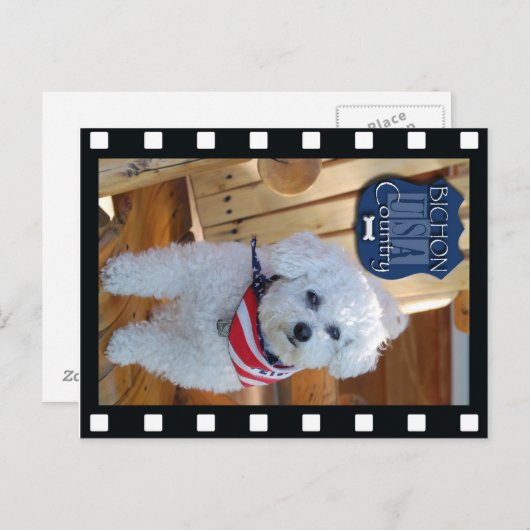 Bichon Land mit negativem Rahmen Postkarte (Vorne/Hinten)