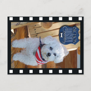 Bichon Land mit negativem Rahmen Postkarte