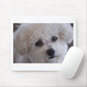 Bichon nahes hohes mousepad (Mit Mouse)
