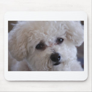 Bichon nahes hohes mousepad