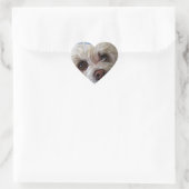 Bichon Poodle Maltese PeekaBoo Sticker (Tasche)