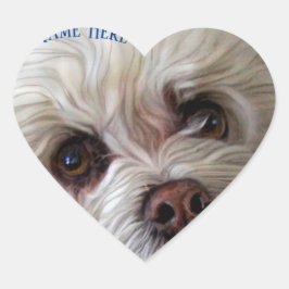 Bichon Poodle Maltese PeekaBoo Sticker