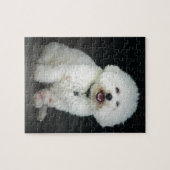 Bichon Puzzle (Horizontal)