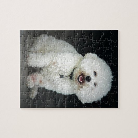 Bichon Puzzle (Horizontal)