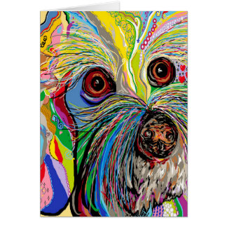 Bichon… Schuh-Mann