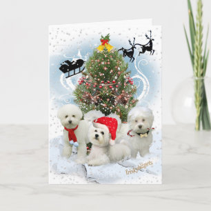 Bichon Snowy Christmas Day Cards Feiertagskarte
