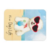 Bichon-Sommerbrand Magnet (Horizontal)
