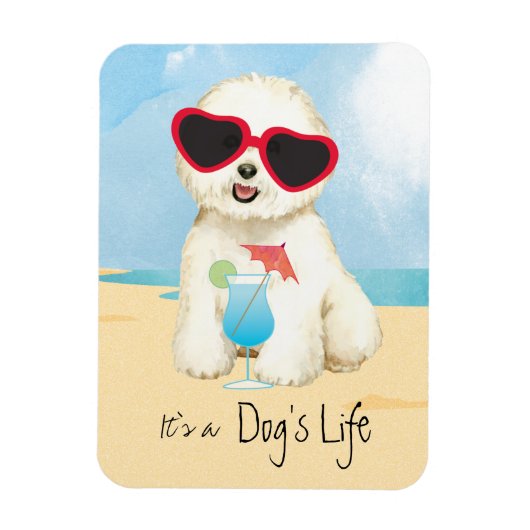 Bichon-Sommerbrand Magnet (Vertikal)