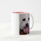 Bichon stellen gegenüber zweifarbige tasse (VorderseiteRechts)